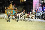 WEG1-9-22-10-Miramar_0307-DDeRosaPhoto.jpg