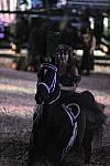 WEG1-9-22-10-Miramar_0361-DDeRosaPhoto.jpg