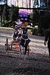 WEG1-9-22-10-Miramar_0362-DDeRosaPhoto.jpg