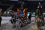 WEG1-9-22-10-Miramar_0382-DDeRosaPhoto.jpg