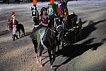WEG1-9-22-10-Miramar_0402-DDeRosaPhoto.jpg
