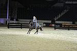WEG1-9-22-10-Miramar_0227-DDeRosaPhoto.jpg