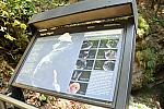 WEG1-9-23-10-Tour_0471-DDeRosaPhoto.jpg