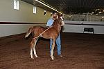 WEG1-9-24-10-Tour_0826-DDeRosaPhoto.jpg