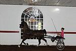 WEG1-9-24-10-Tour_0836-DDeRosaPhoto.jpg
