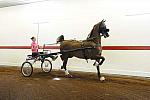 WEG1-9-24-10-Tour_0843-DDeRosaPhoto.jpg