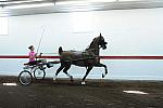 WEG1-9-24-10-Tour_0860-DDeRosaPhoto.jpg