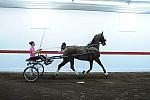 WEG1-9-24-10-Tour_0861-DDeRosaPhoto.jpg