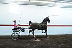 WEG1-9-24-10-Tour_0862-DDeRosaPhoto.jpg