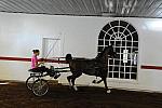 WEG1-9-24-10-Tour_0869-DDeRosaPhoto.jpg