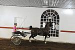 WEG1-9-24-10-Tour_0870-DDeRosaPhoto.jpg