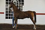 WEG1-9-24-10-Tour_0881-DDeRosaPhoto.jpg