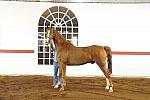 WEG1-9-24-10-Tour_0882-DDeRosaPhoto.jpg