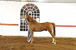 WEG1-9-24-10-Tour_0883-DDeRosaPhoto.jpg