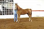 WEG1-9-24-10-Tour_0886-DDeRosaPhoto.jpg