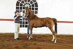 WEG1-9-24-10-Tour_0889-DDeRosaPhoto.jpg