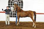 WEG1-9-24-10-Tour_0890-DDeRosaPhoto.jpg