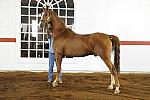 WEG1-9-24-10-Tour_0892-DDeRosaPhoto.jpg