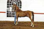 WEG1-9-24-10-Tour_0893-DDeRosaPhoto.jpg