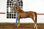 WEG1-9-24-10-Tour_0896-DDeRosaPhoto.jpg
