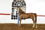 WEG1-9-24-10-Tour_0898-DDeRosaPhoto.jpg