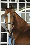 WEG1-9-24-10-Tour_0902-DDeRosaPhoto.jpg