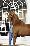 WEG1-9-24-10-Tour_0904-DDeRosaPhoto.jpg