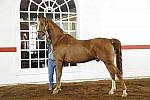 WEG1-9-24-10-Tour_0905-DDeRosaPhoto.jpg