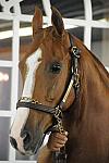 WEG1-9-24-10-Tour_0906-DDeRosaPhoto.jpg