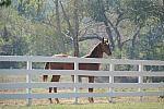 WEG1-9-24-10-Tour_0912-DDeRosaPhoto.jpg
