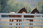 WEG1-9-24-10-Tour_0916-DDeRosaPhoto (1).jpg