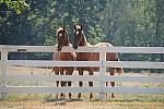 WEG1-9-24-10-Tour_0919-DDeRosaPhoto.jpg