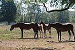 WEG1-9-24-10-Tour_0927-DDeRosaPhoto.jpg