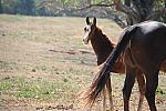 WEG1-9-24-10-Tour_0935-DDeRosaPhoto.jpg