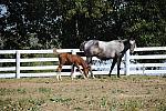 WEG1-9-24-10-Tour_0938-DDeRosaPhoto.jpg