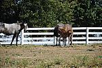 WEG1-9-24-10-Tour_0939-DDeRosaPhoto.jpg