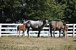 WEG1-9-24-10-Tour_0942-DDeRosaPhoto.jpg