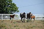 WEG1-9-24-10-Tour_0948-DDeRosaPhoto.jpg