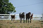 WEG1-9-24-10-Tour_0949-DDeRosaPhoto.jpg