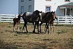WEG1-9-24-10-Tour_0952-DDeRosaPhoto.jpg