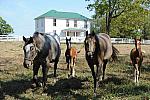 WEG1-9-24-10-Tour_0956-DDeRosaPhoto.jpg