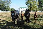 WEG1-9-24-10-Tour_0958-DDeRosaPhoto.jpg