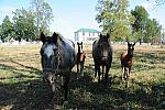 WEG1-9-24-10-Tour_0959-DDeRosaPhoto.jpg