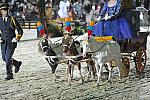 WEG1-9-25-10-Opening-WEG_2211-DDeRosaPhoto.jpg
