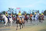 WEG1-9-26-10-Endurance-2337-DDeRosaPhoto.jpg