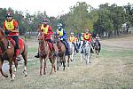 WEG1-9-26-10-Endurance-DSC_3242-DDeRosaPhoto.jpg