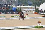 WEG1-9-28-10-DressageGP-5442-DDeRosaPhoto.jpg