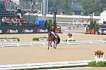 WEG1-9-28-10-DressageGP-5443-DDeRosaPhoto.jpg