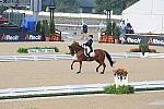 WEG1-9-28-10-DressageGP-5452-DDeRosaPhoto.jpg