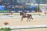 WEG1-9-28-10-DressageGP-5455-DDeRosaPhoto.jpg